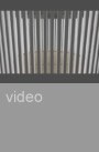 vid14